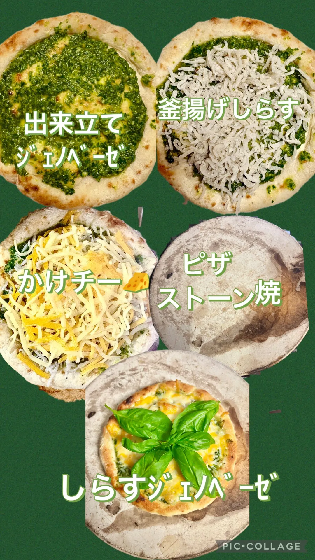 摘み立てバジル🌿ｼﾞｪﾉﾍﾞｰｾﾞ