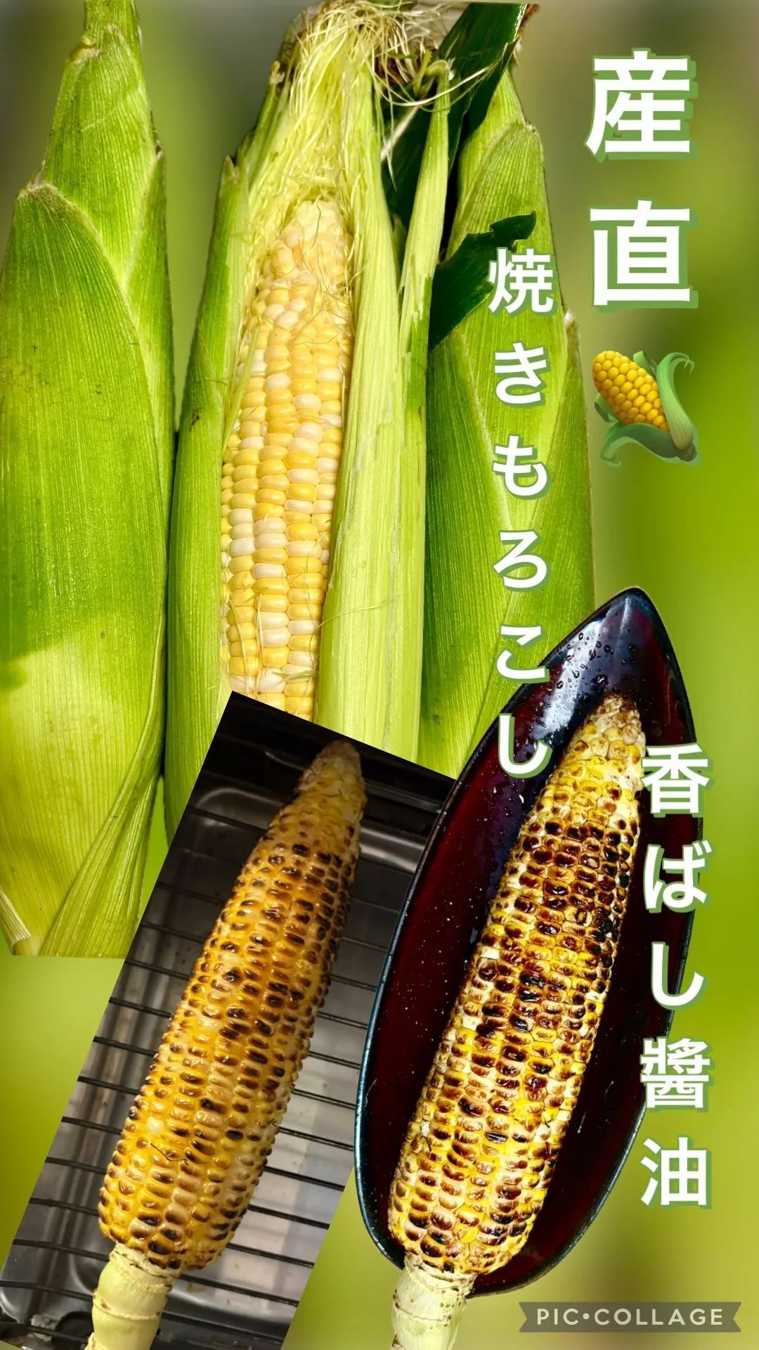 摘み立てバジル🌿ｼﾞｪﾉﾍﾞｰｾﾞ