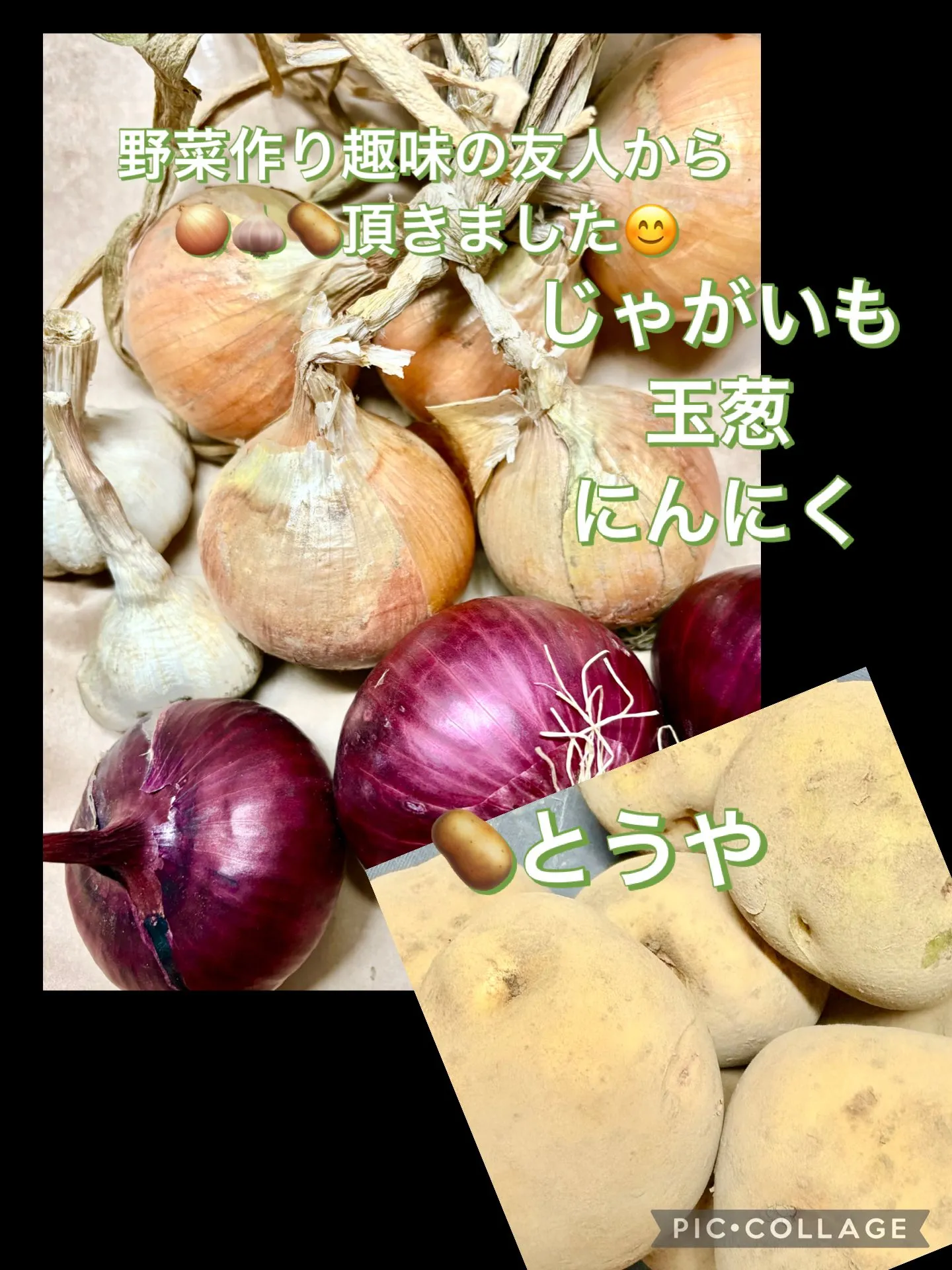 🎁友人の育てた玉葱ﾆﾝﾆｸじゃが芋