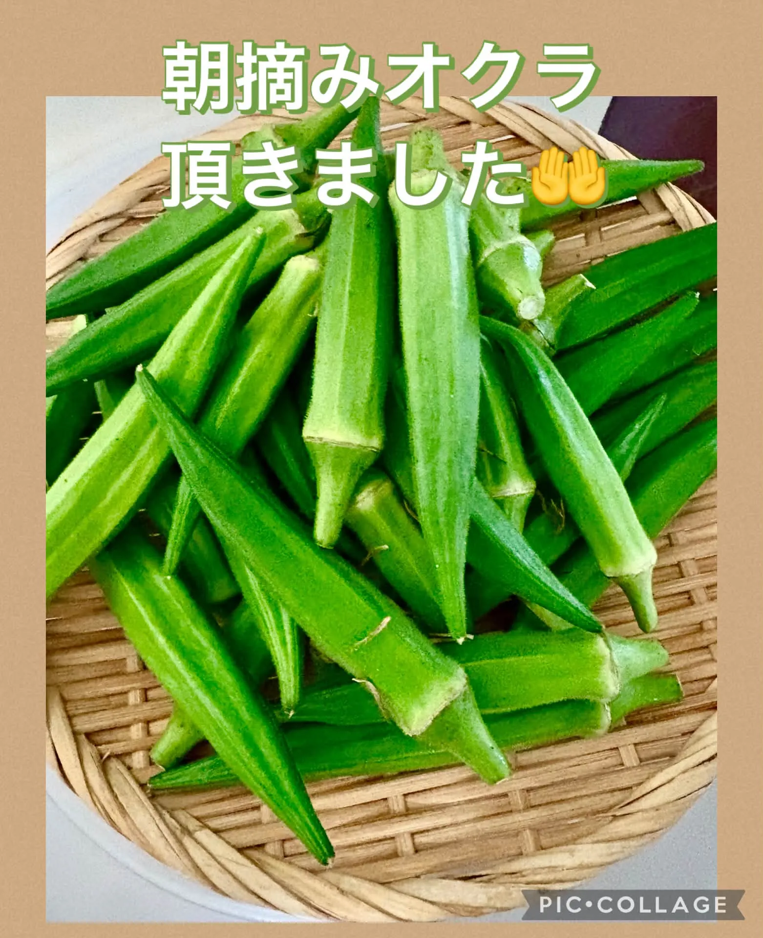 今日の賄い　ぶっ掛けそうめん