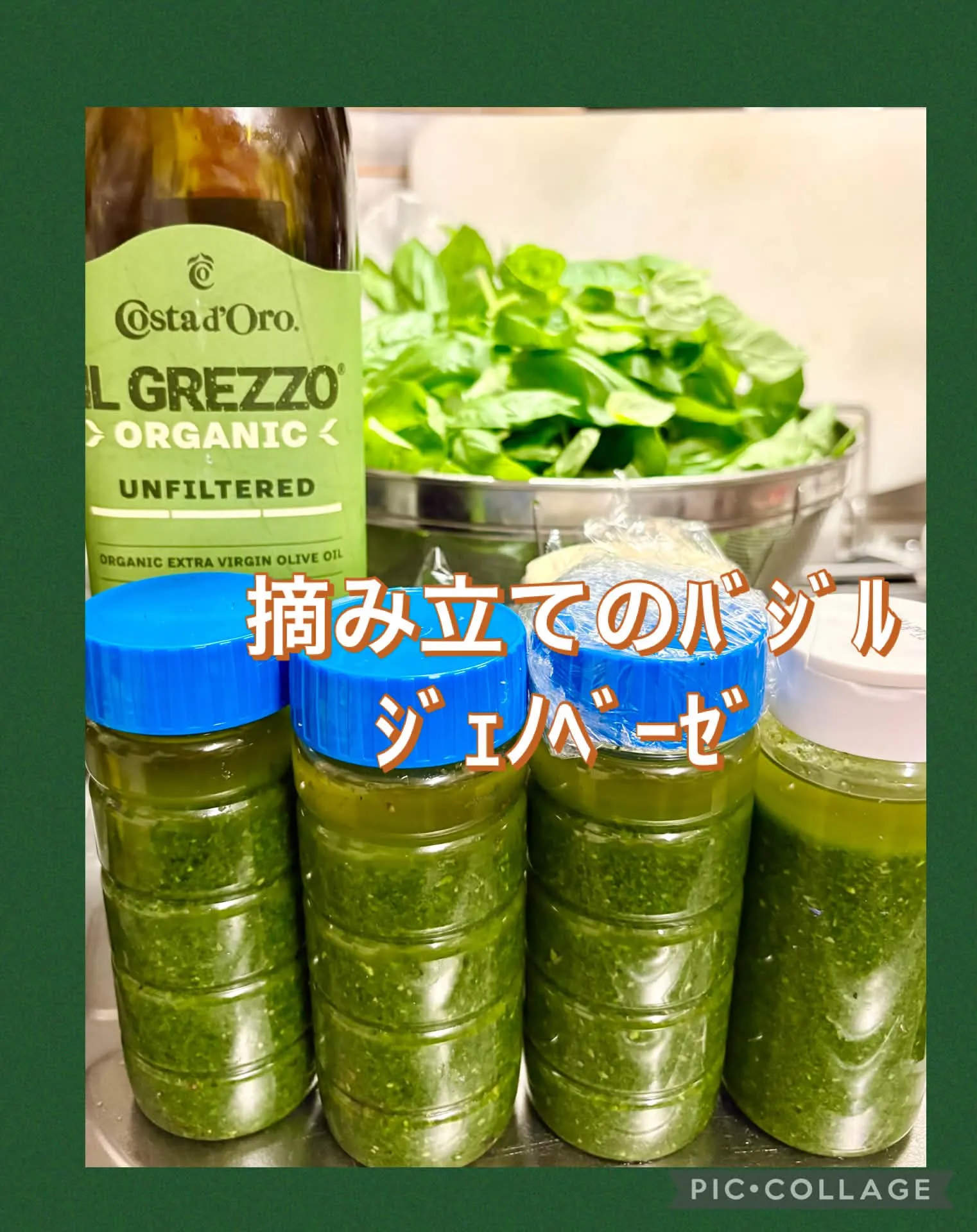 休日飯　🌿🍅摘み立てﾊﾞｼﾞﾙのカプレーゼ