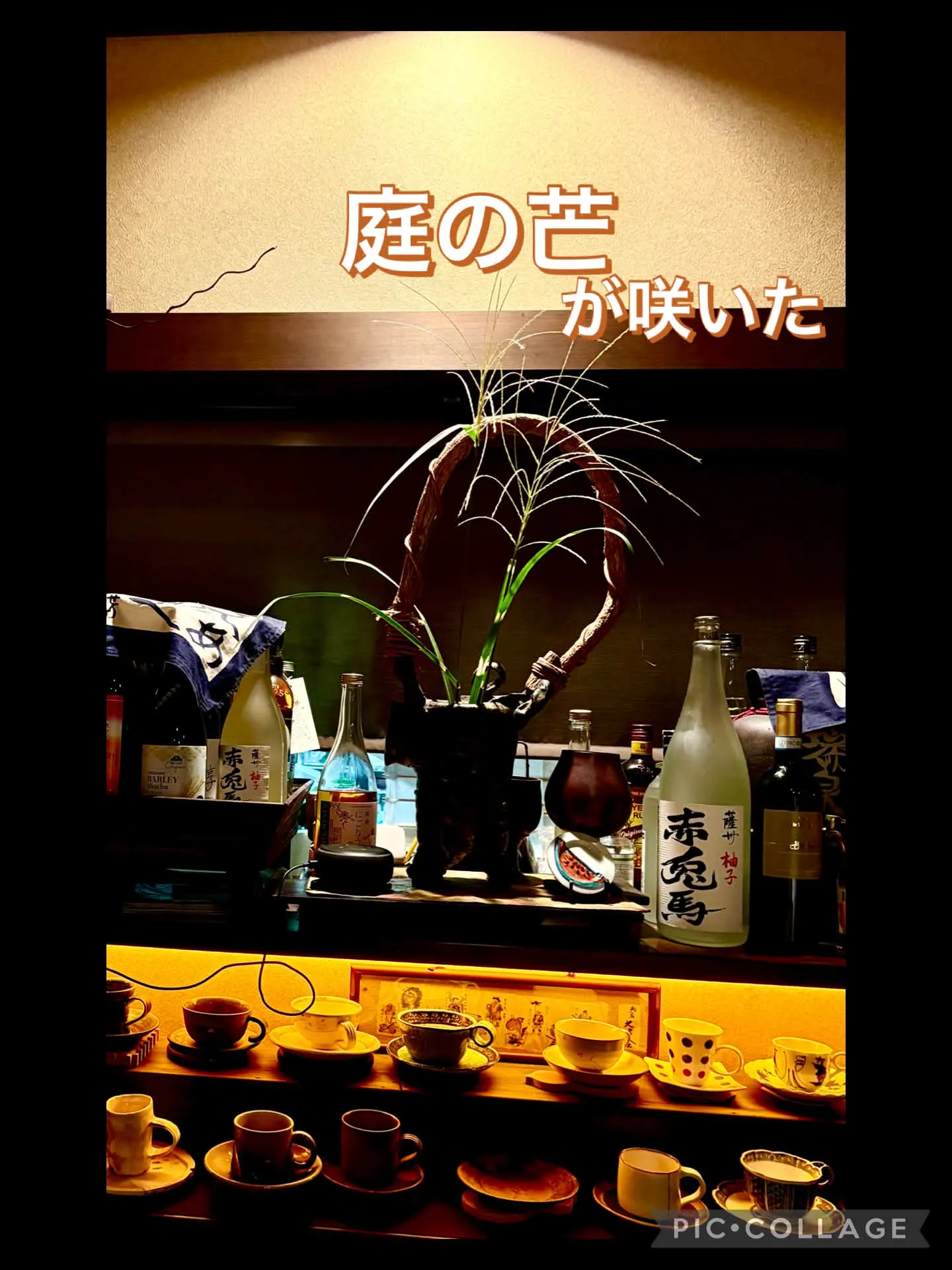 🌾庭のススキ、風知草を生ける