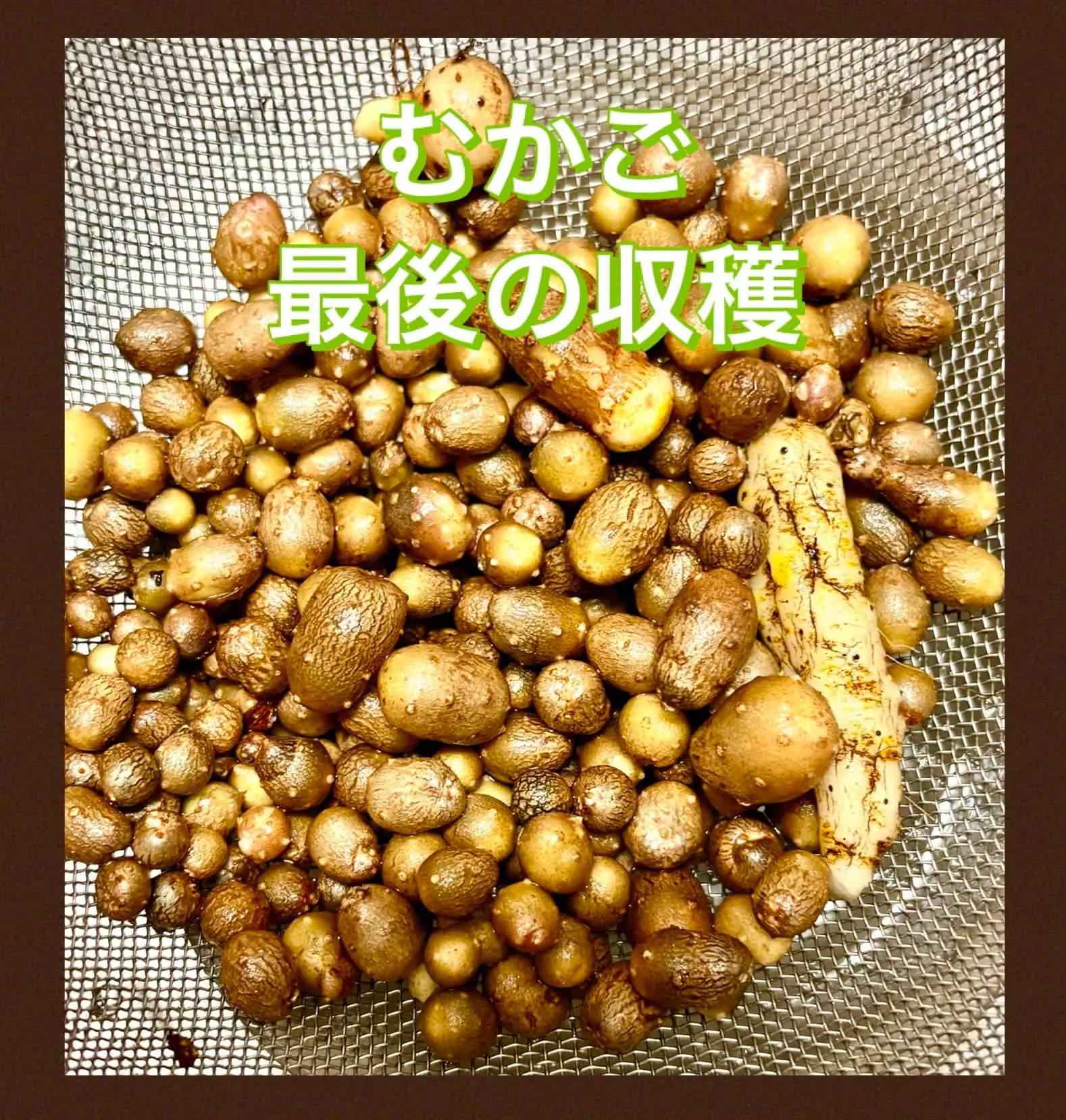 🍕今日の賄い
