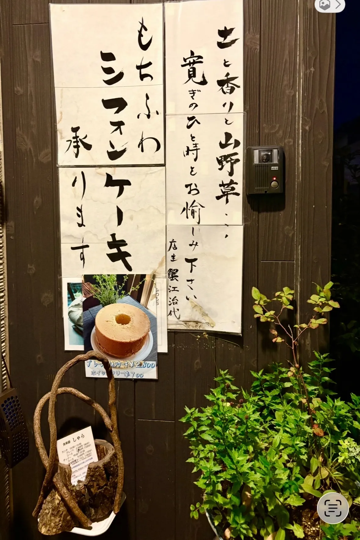 しゃら
