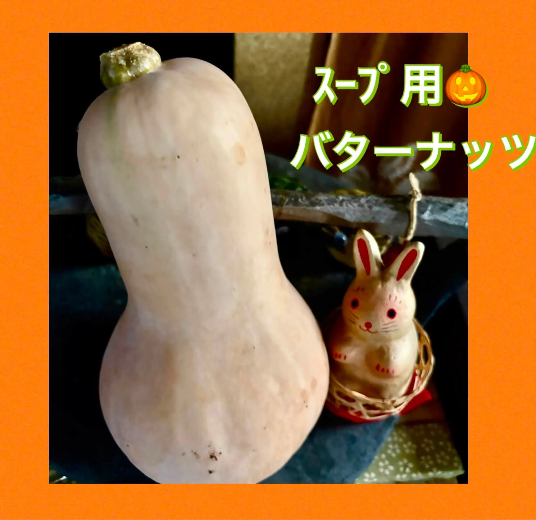 🎃ｽｰﾌﾟ用バターナッツ