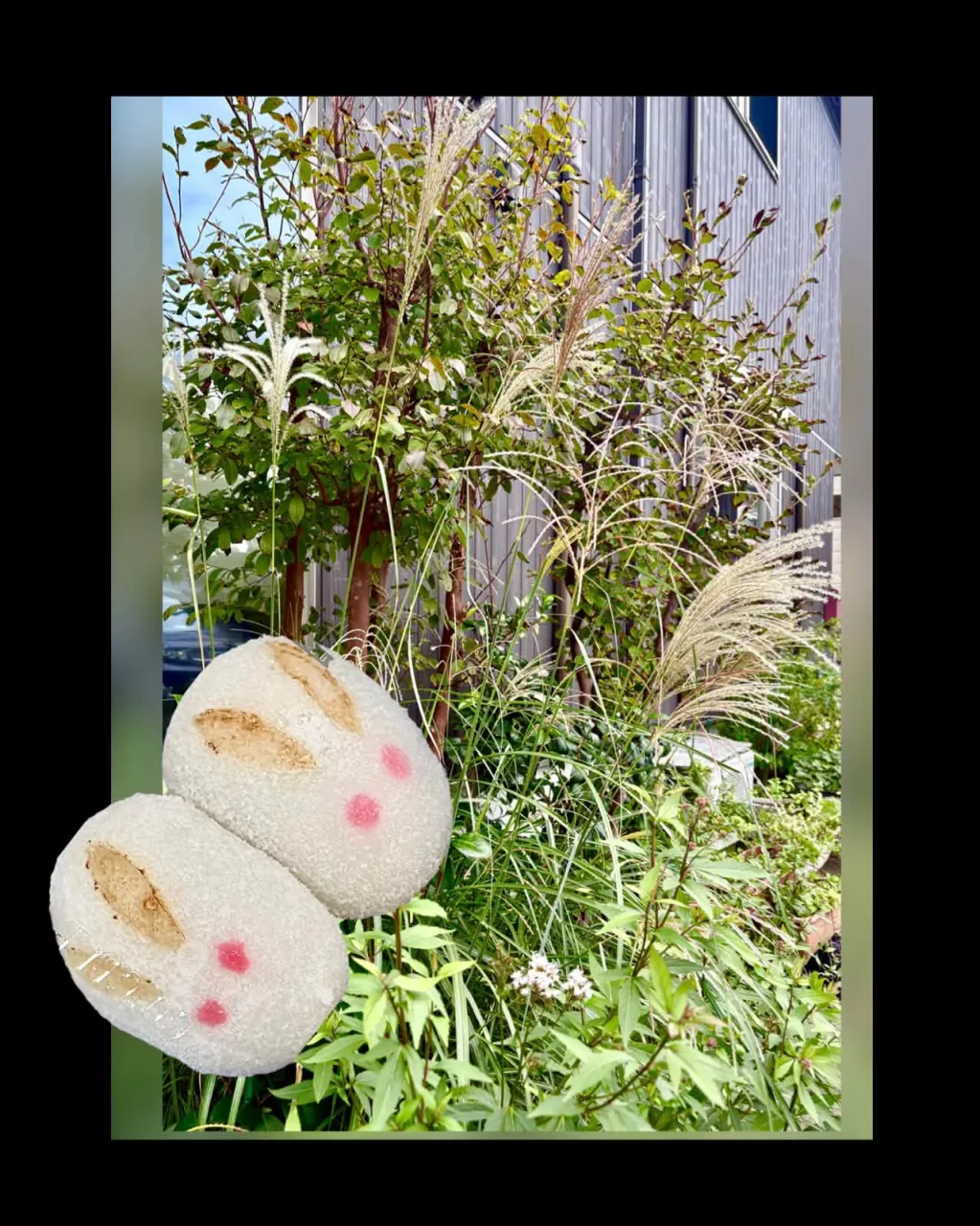 🎑ススキ＆うさぎ饅頭