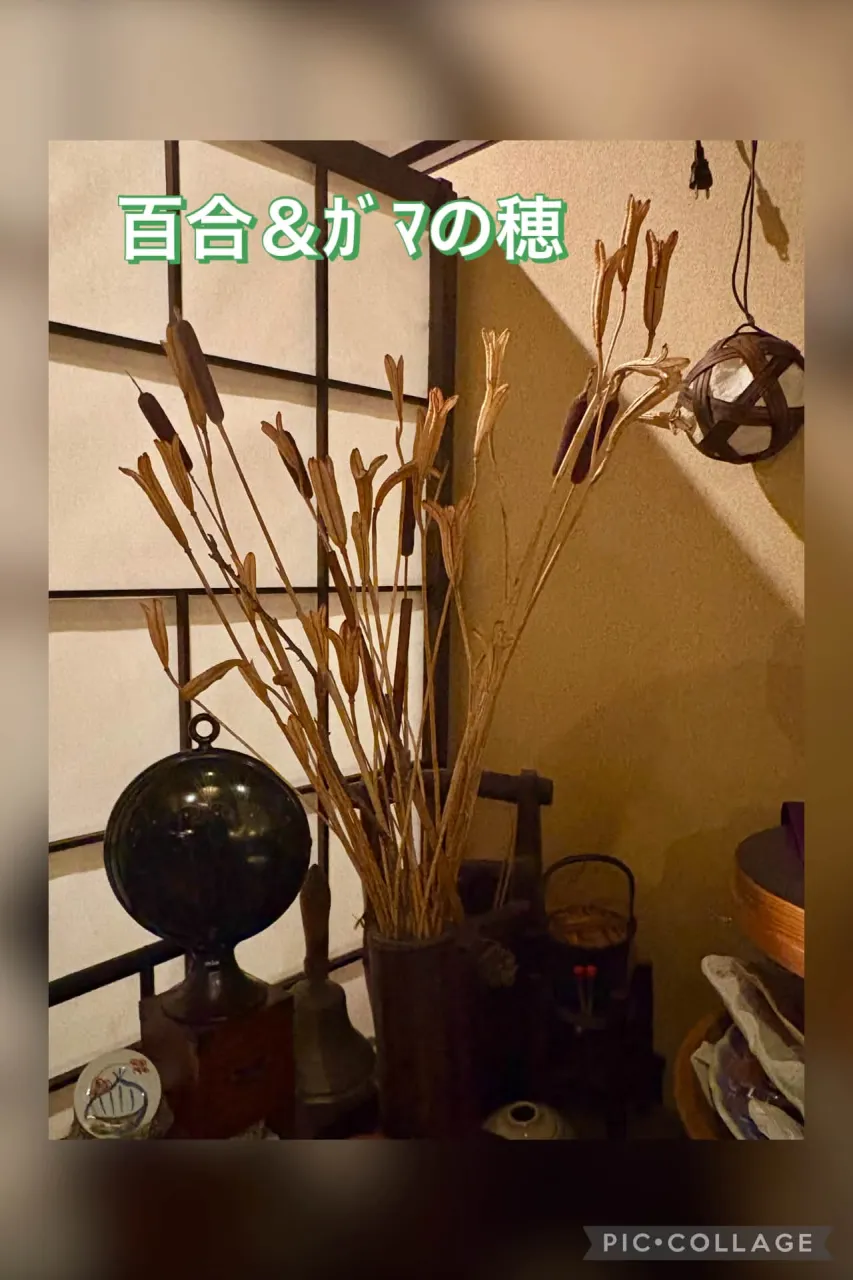 🥀百合とｶﾞﾏの穂