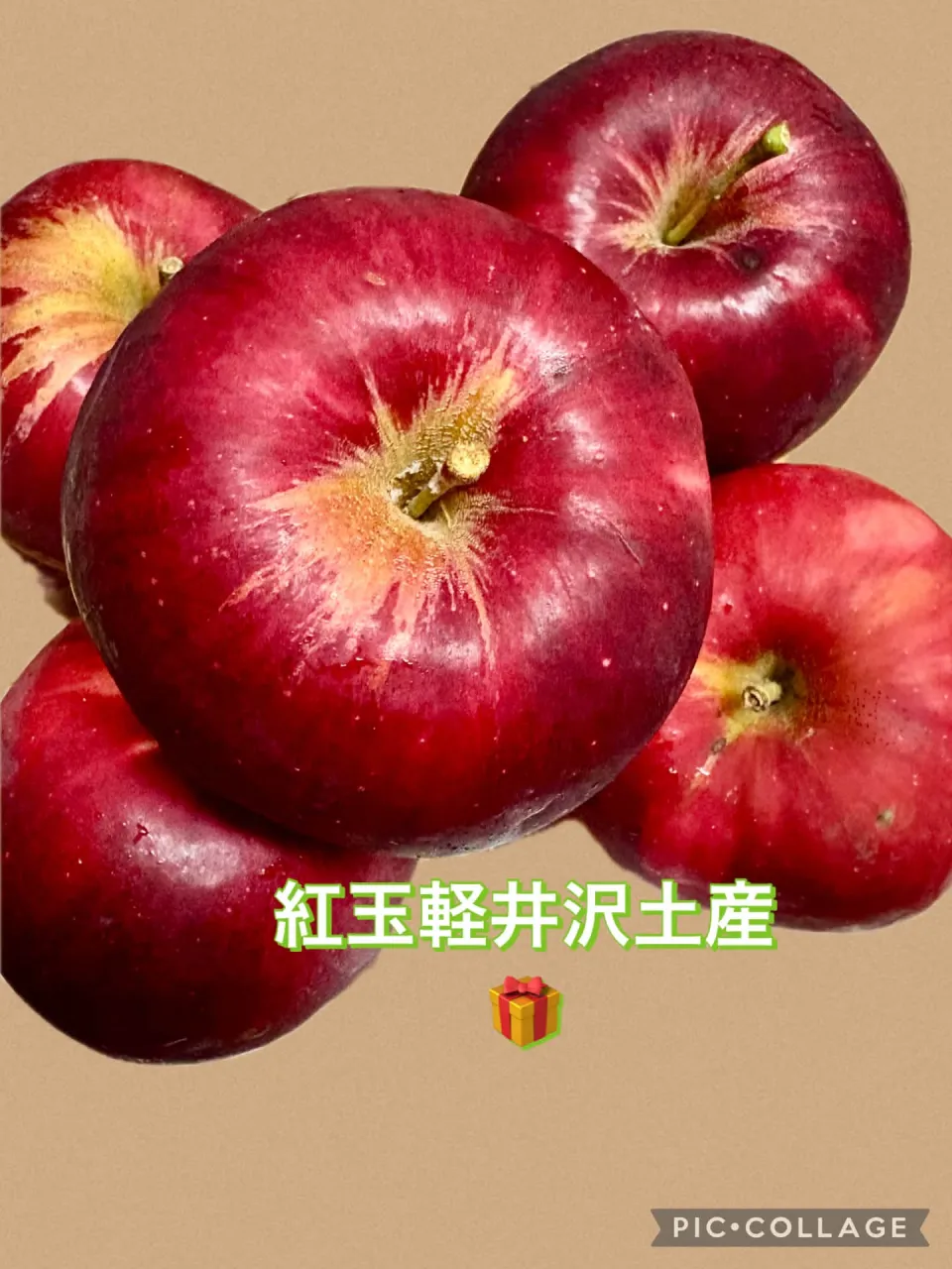 🌾稲科ピンクミューリーグラス(友人宅に咲く)