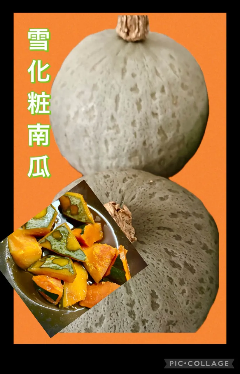 🍚🥢　賄い飯 ニラ玉 🥗ｹｰﾙちりめんﾊﾟﾌﾟﾘｶ