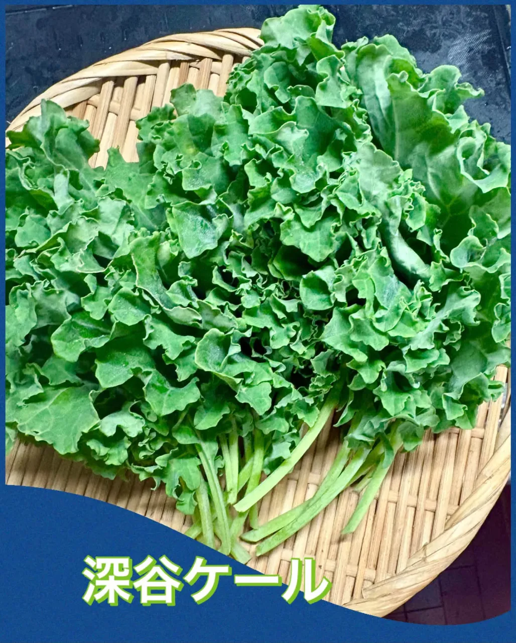 🍚🥢　賄い飯 ニラ玉 🥗ｹｰﾙちりめんﾊﾟﾌﾟﾘｶ