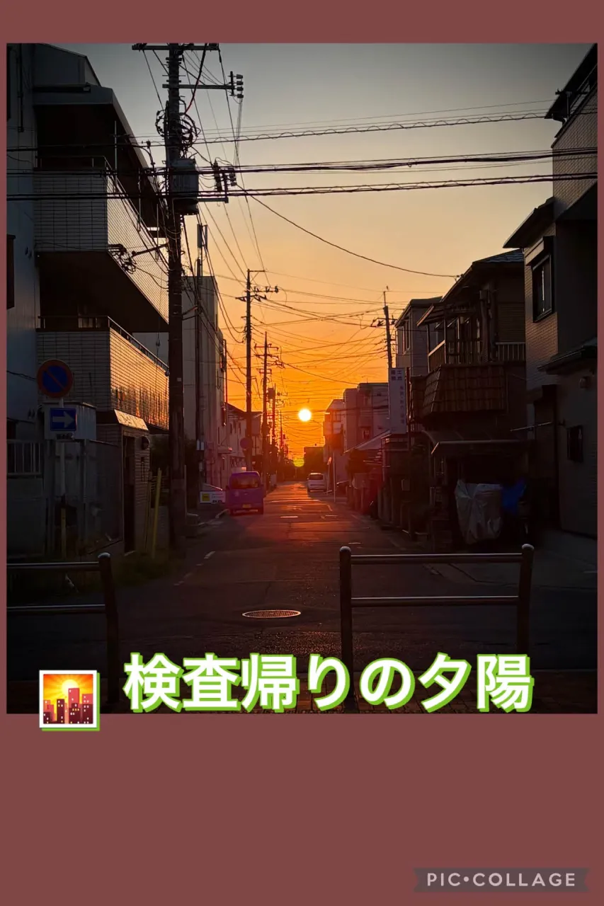 🍚賄い飯🥢