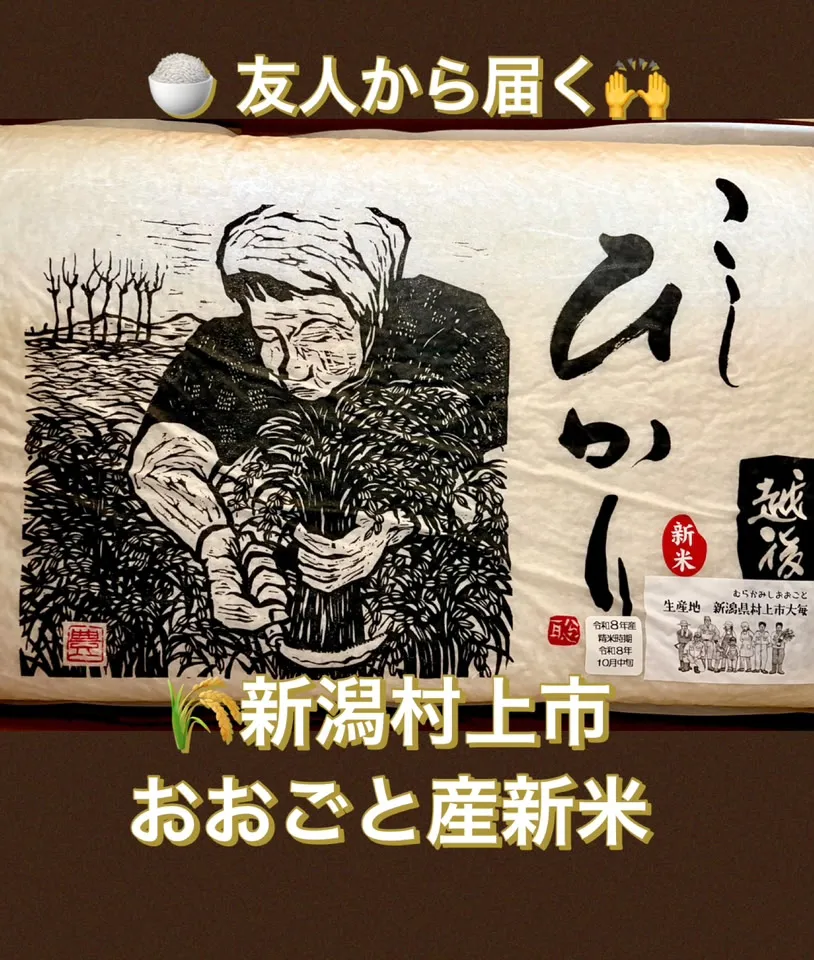 🍎紅玉ザク切りコンポート