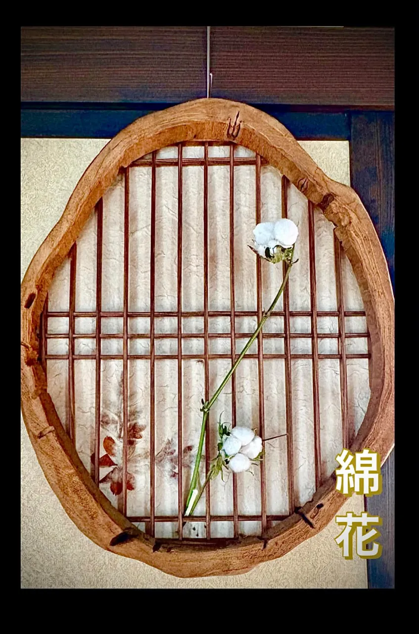 綿花飾り