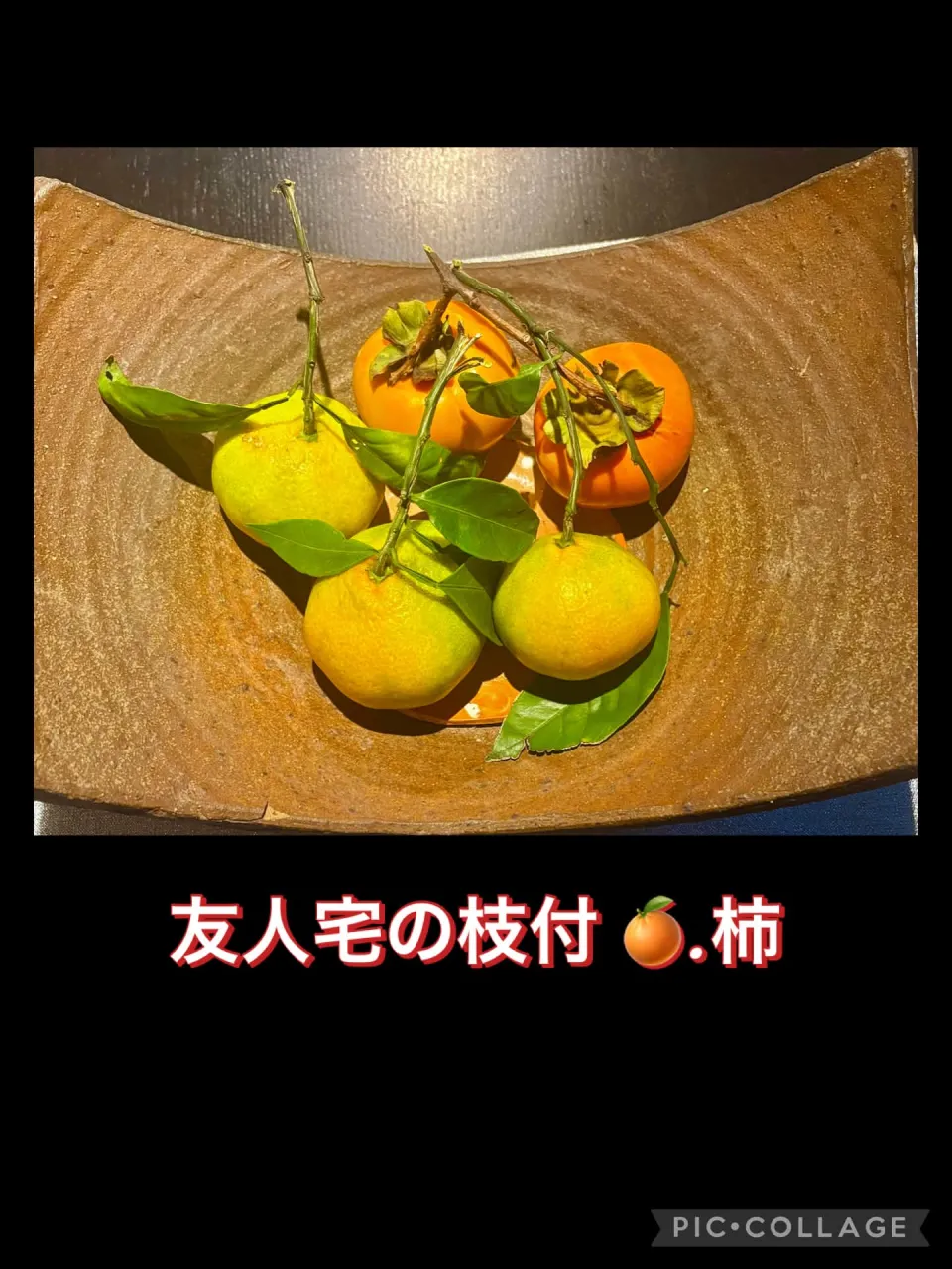 🌕雲の合間の月あかり
