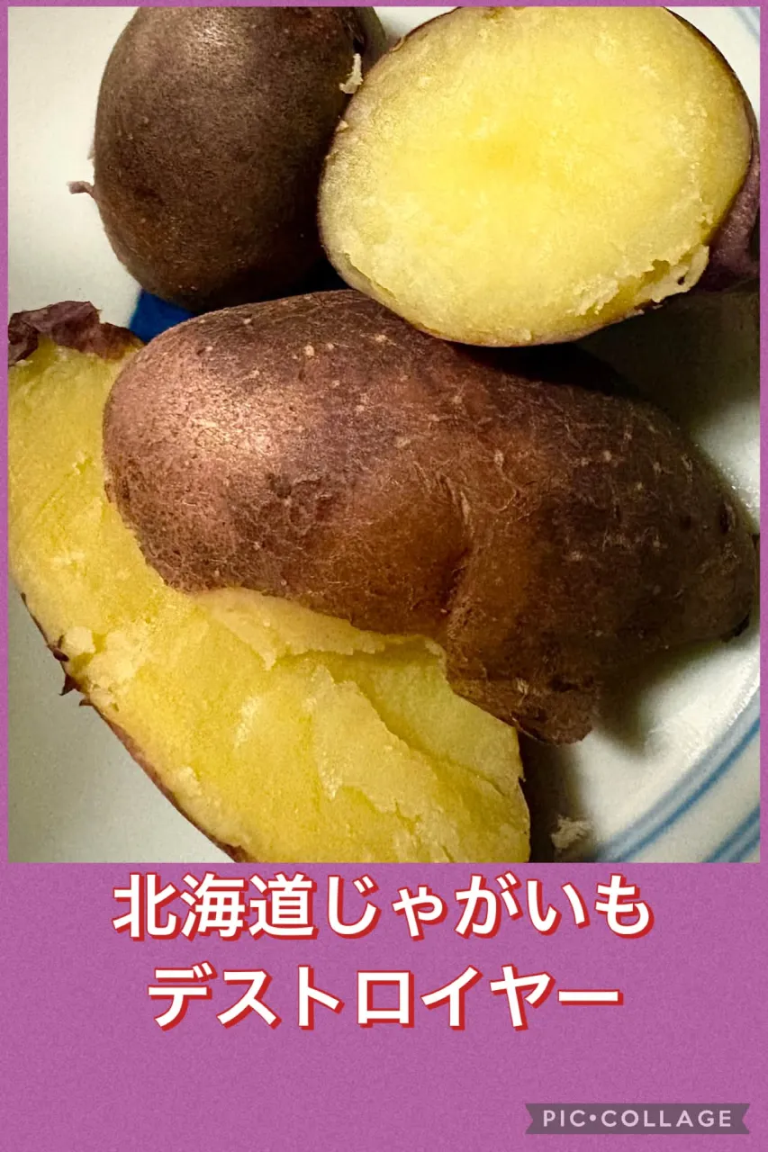 🥔デストロイヤー北海道🟣じゃがいも